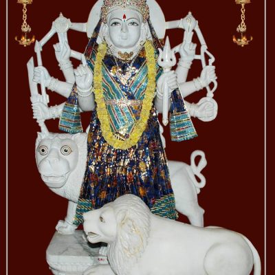 WhatsApp Image 2025-02-14 at 3.35.12 PM